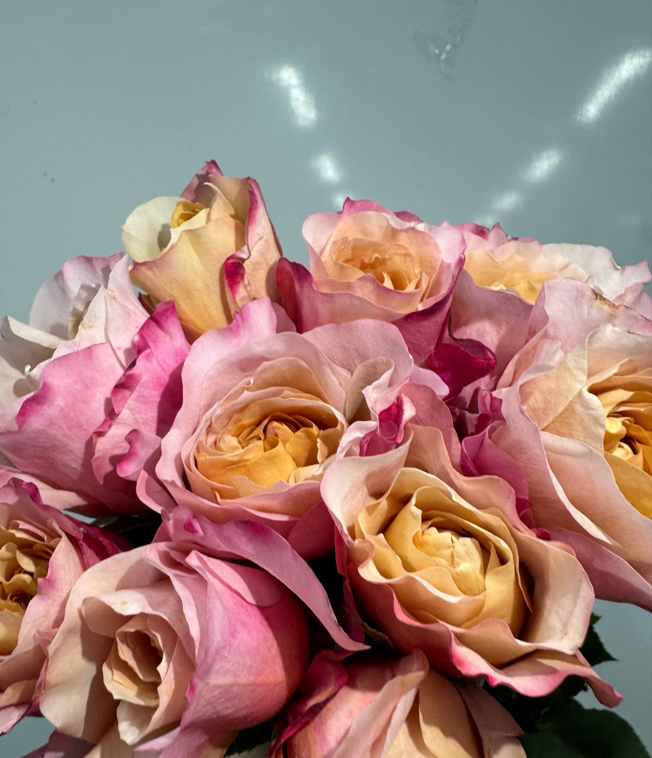 miyabi-50-uhuru-169-rub Miyabi 50 UHURU — изображение 1